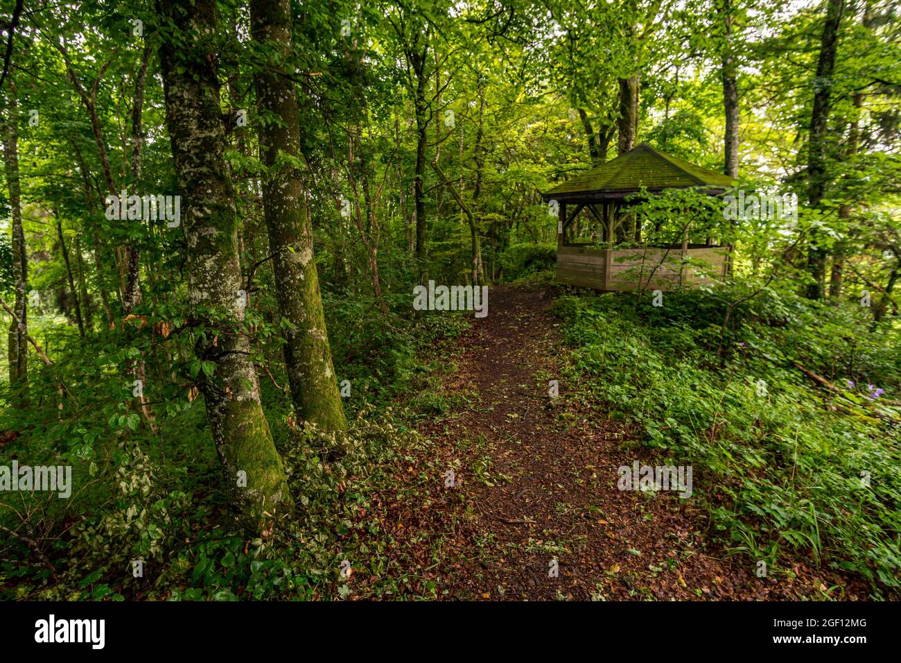 Herrliche Wanderung durch das Naturschutzgebiet Laucherttal im Naturpark Obere Donau Stockfoto