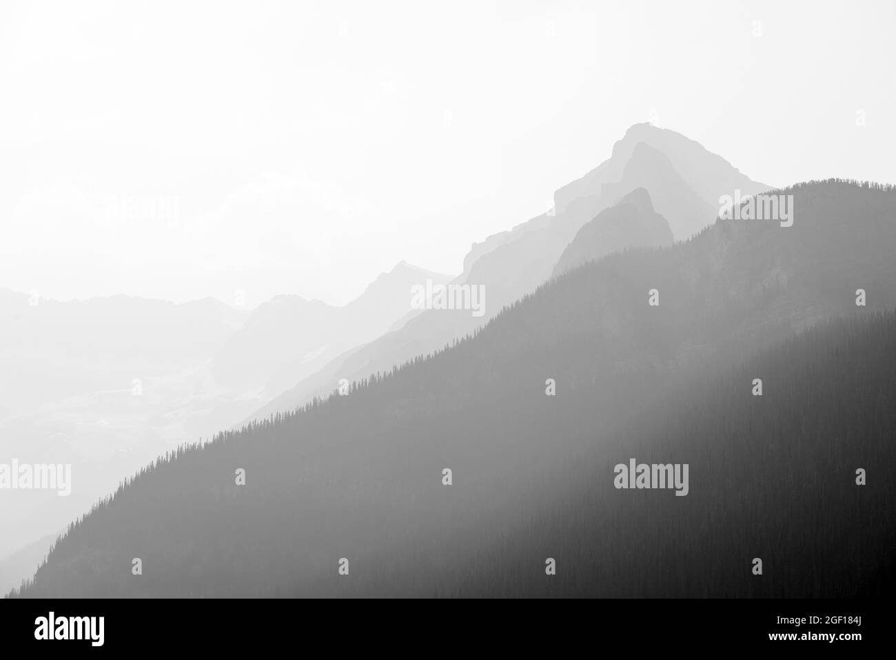 Rocky Mountains Landschaft in schwarz-weiß mit Kiefernwald, Alberta, Kanada. Stockfoto