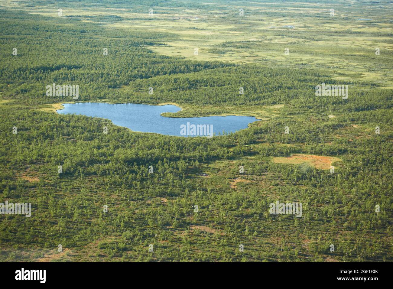 Eyriel Blick auf Kiruna Wildnis aus dem Hubschrauber mit kleinem See oder Teich in der Mitte der Sümpfe und Bäume im hohen Norden von Schwedisch Lappland. Stockfoto