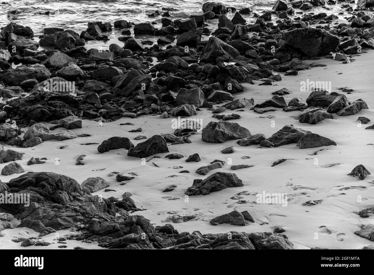 Felsen im Sand von Ondina Beach an einem sonnigen Tag. Salvador, Bahia, Brasilien. Stockfoto