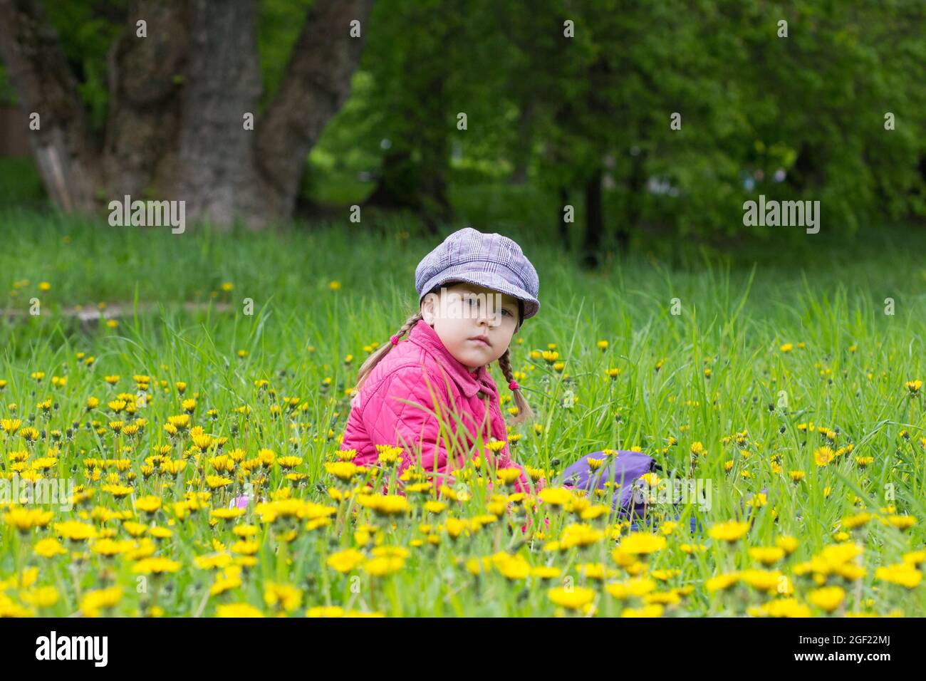 Kaukasisches Kind von vier Jahren, das auf einer grünen Wiese mit den gelben Elendelionen sitzt Stockfoto