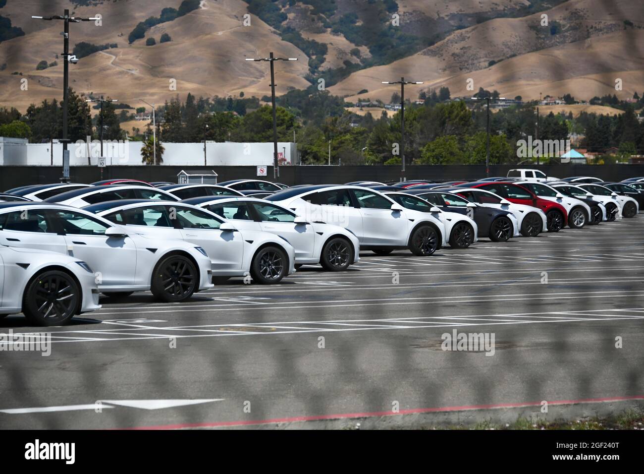 Tesla-Fahrzeuge, die am Samstag, 3. Juli 2021, in Fremont, Kalifornien, in der Tesla-Fabrik und in der Firmenzentrale gesehen wurden (Dylan Stewart/Image of Sport) Stockfoto