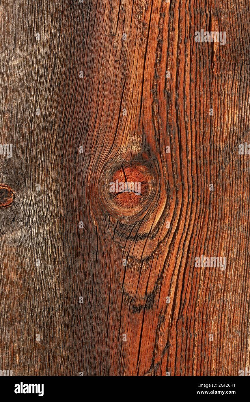 Textur aus altem, vergilbtem Holz mit Ästen, Nahaufnahme in hoher Auflösung. Stockfoto