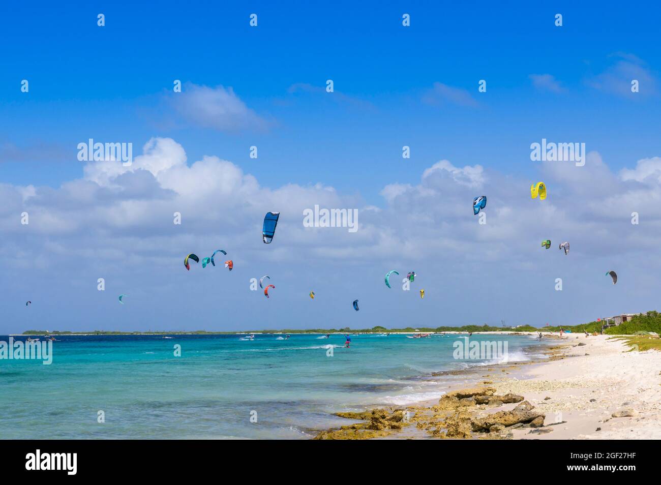 Kitesurfen am Strand, Bonaire, niederländische Karibik. Stockfoto