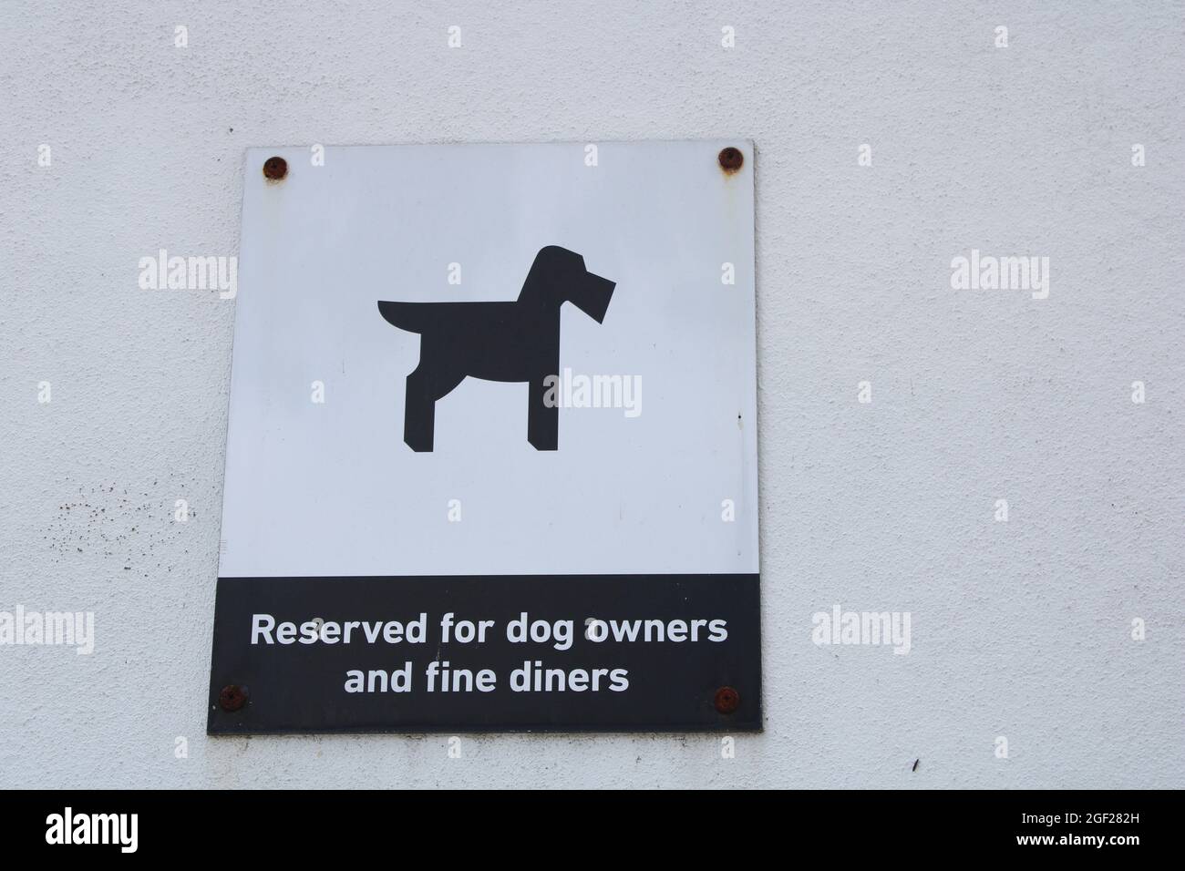 Silhouette Hundeschild Parkplatz reserviert für Hundebesitzer und feine Gäste auf weiß strukturierte Wand mit Kopieplatz. Hundefreundliches Geschäftskonzept Stockfoto