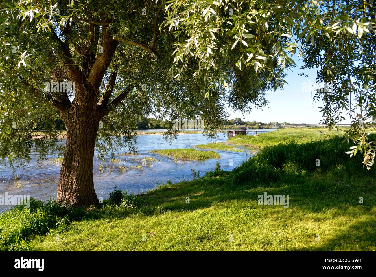 Fluss Loire und Weide bei Chauvon, einer Gemeinde im Département Loir-et-Cher in Frankreich. Stockfoto