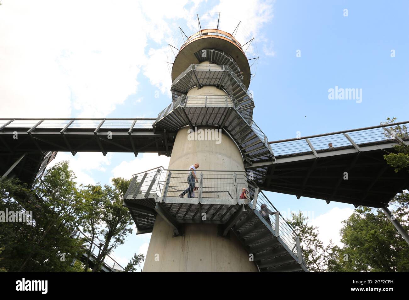 Bad Langensalza, Deutschland. August 2021. Der Baumkronenweg im Hainich-Nationalpark. Mehr als 500 Meter lang und bis zu 44 Meter hoch schlängelt sich der Weg durch die Baumwipfel. Laut Betreiber ist der größte Teil des Weges auch für Rollstuhlfahrer geeignet. Quelle: Matthias Bein/dpa-Zentralbild/ZB/dpa/Alamy Live News Stockfoto