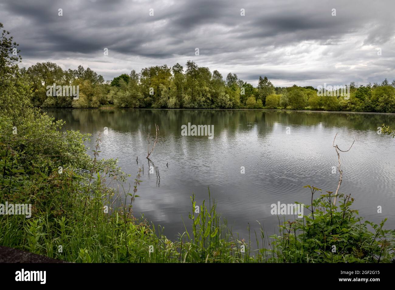 Lower Moor; Wiltshire Wildlife Trust Reserve; Wiltshire; Großbritannien Stockfoto