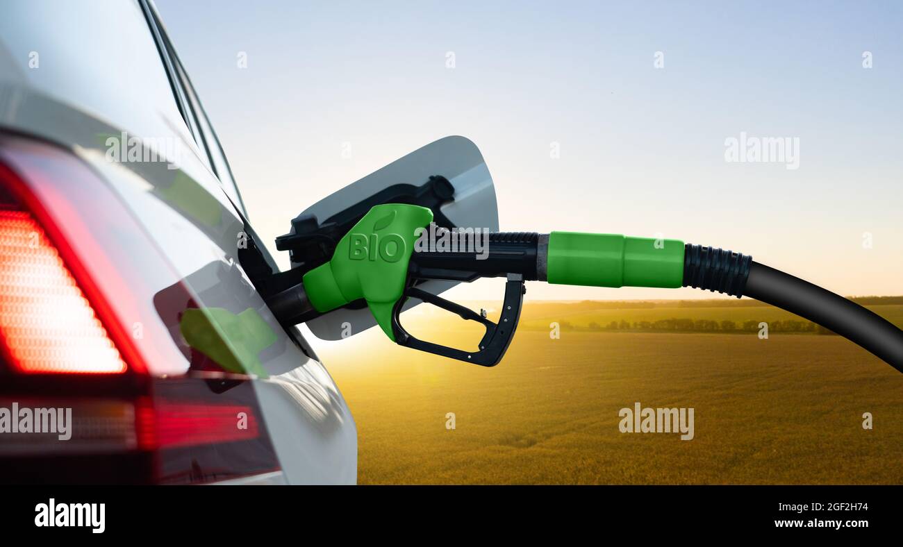 Das Auto mit Biokraftstoff betanken Stockfoto