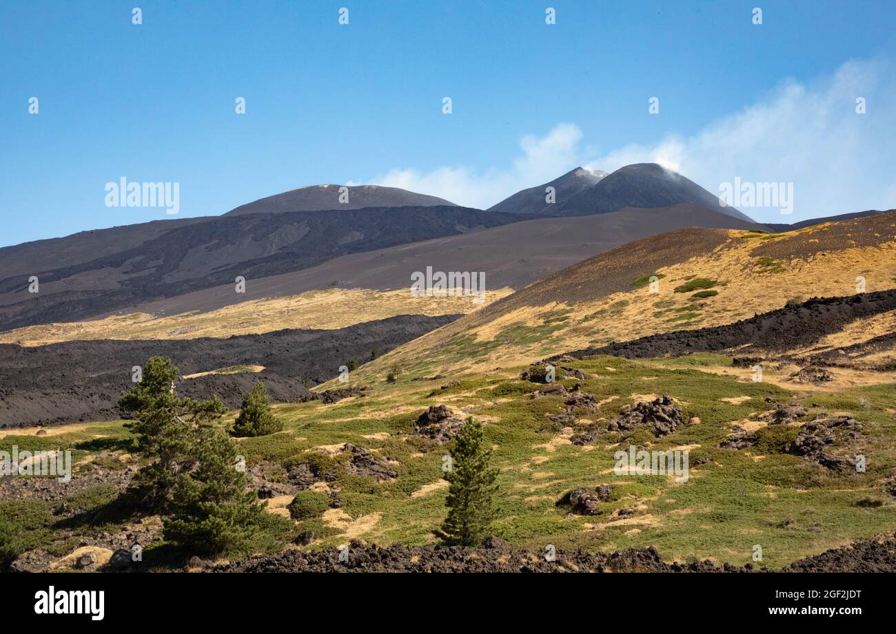 Cratere Etna e paesaggio del bosco verde tra colate laviche e cielo blu; Vacanze e avventure in Sicilia Stockfoto