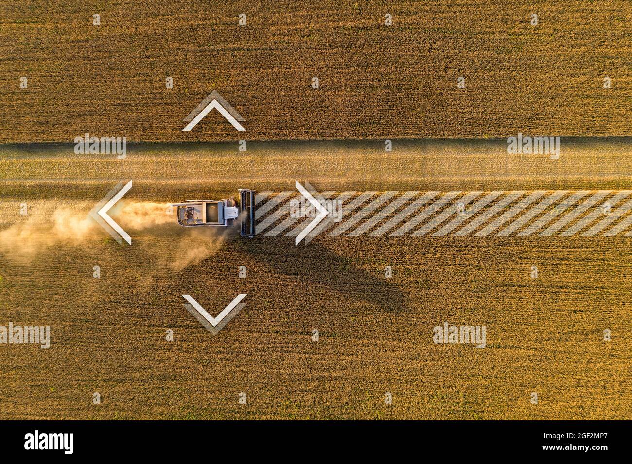 Autonomer Harvester auf dem Feld. Digitale Transformation in der Landwirtschaft Stockfoto
