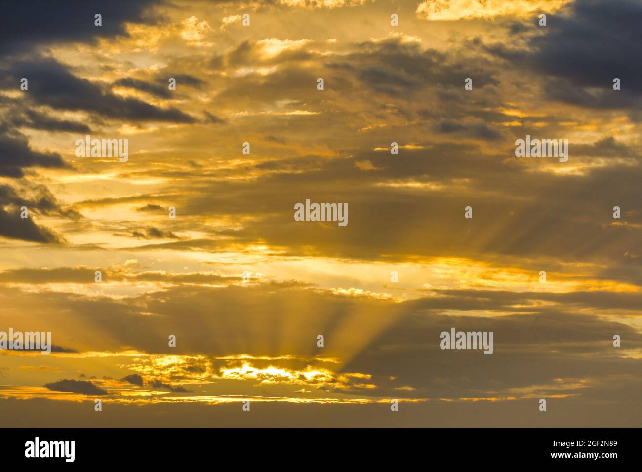 goldene Sonnenstrahlen, die bei Sonnenaufgang durch die Wolken scheinen, Tyndall Effect, Schweiz Stockfoto