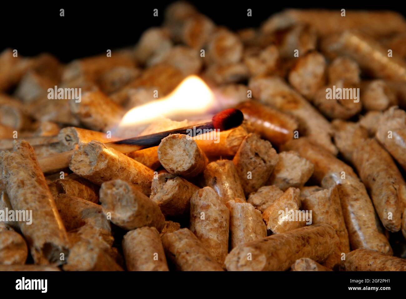 Brennender Streichholz auf Pellets Stockfoto