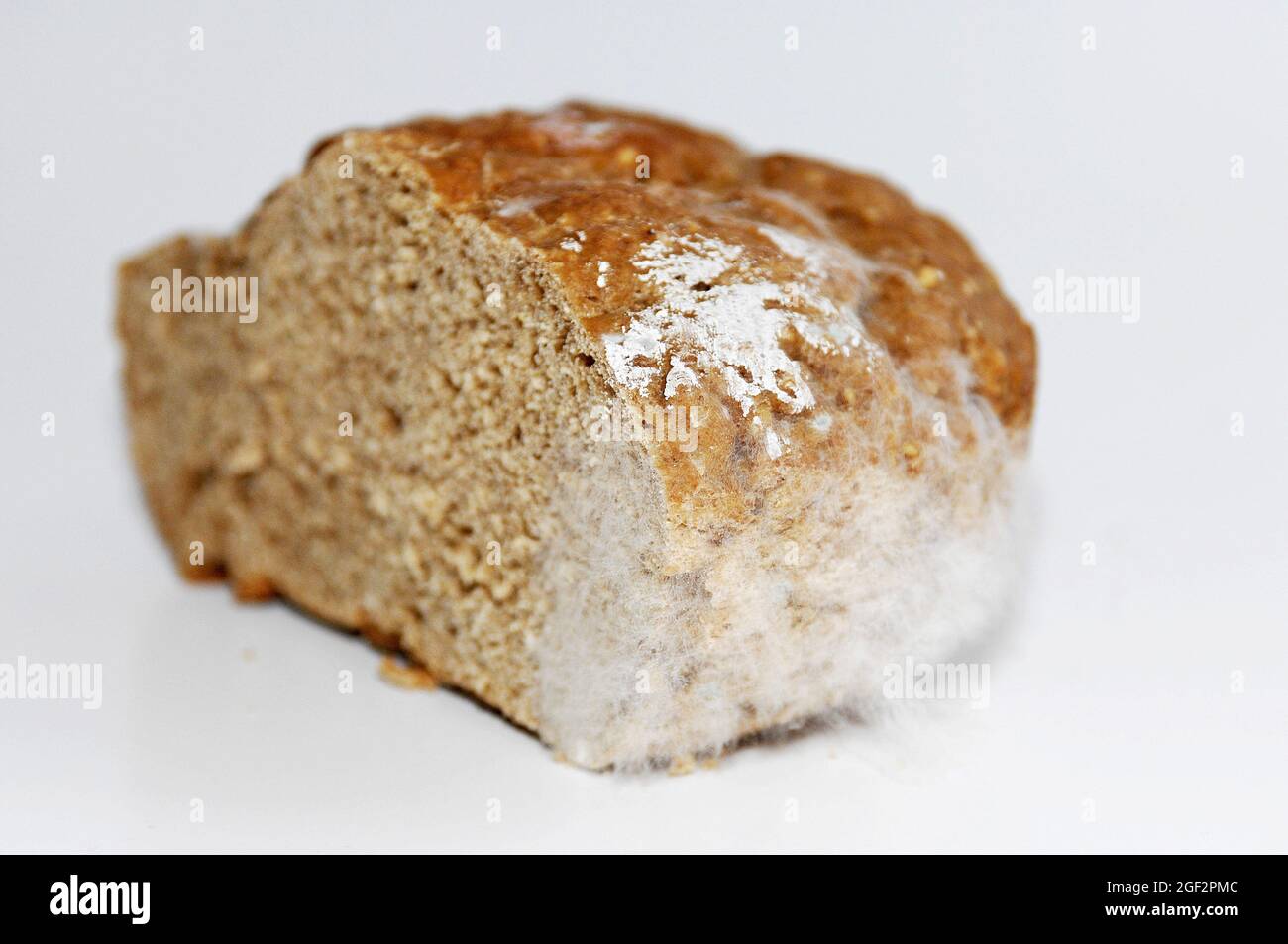 Schimmeliges Vollkornbrot, ausgeschnitten Stockfoto