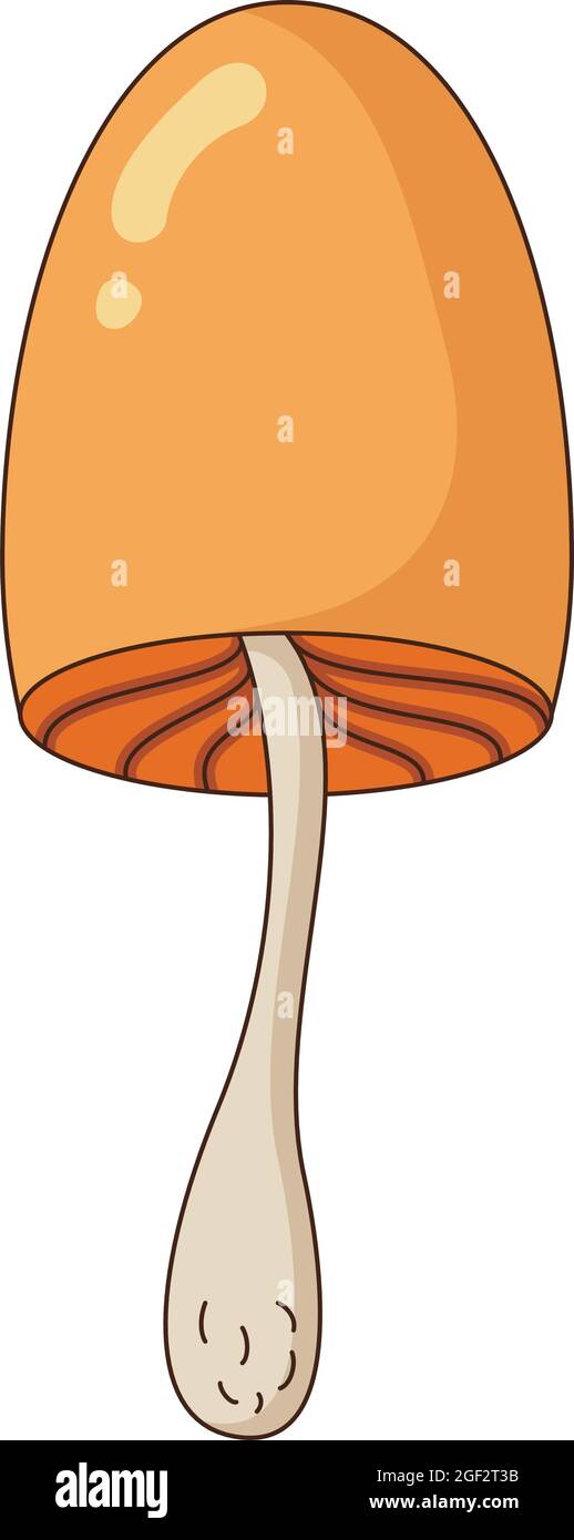 Vektor-Illustration von vergifteten Pilzen in einem flachen Stil. Vektorgrafik Stock Vektor