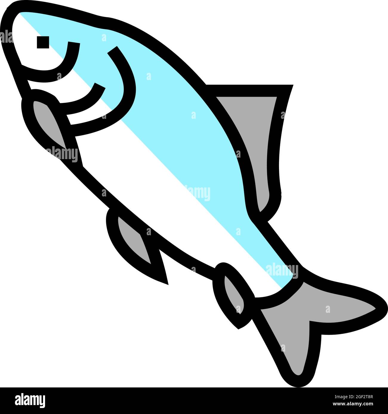 Catla Catla Fisch Farbe Symbol Vektor Illustration Stock Vektor