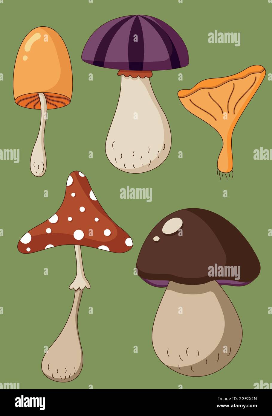 Cartoon-Set von farbigen Pilzen, vergiftet und gesund, vegetarische Lebensmittel in einem flachen Stil. Stock Vektor