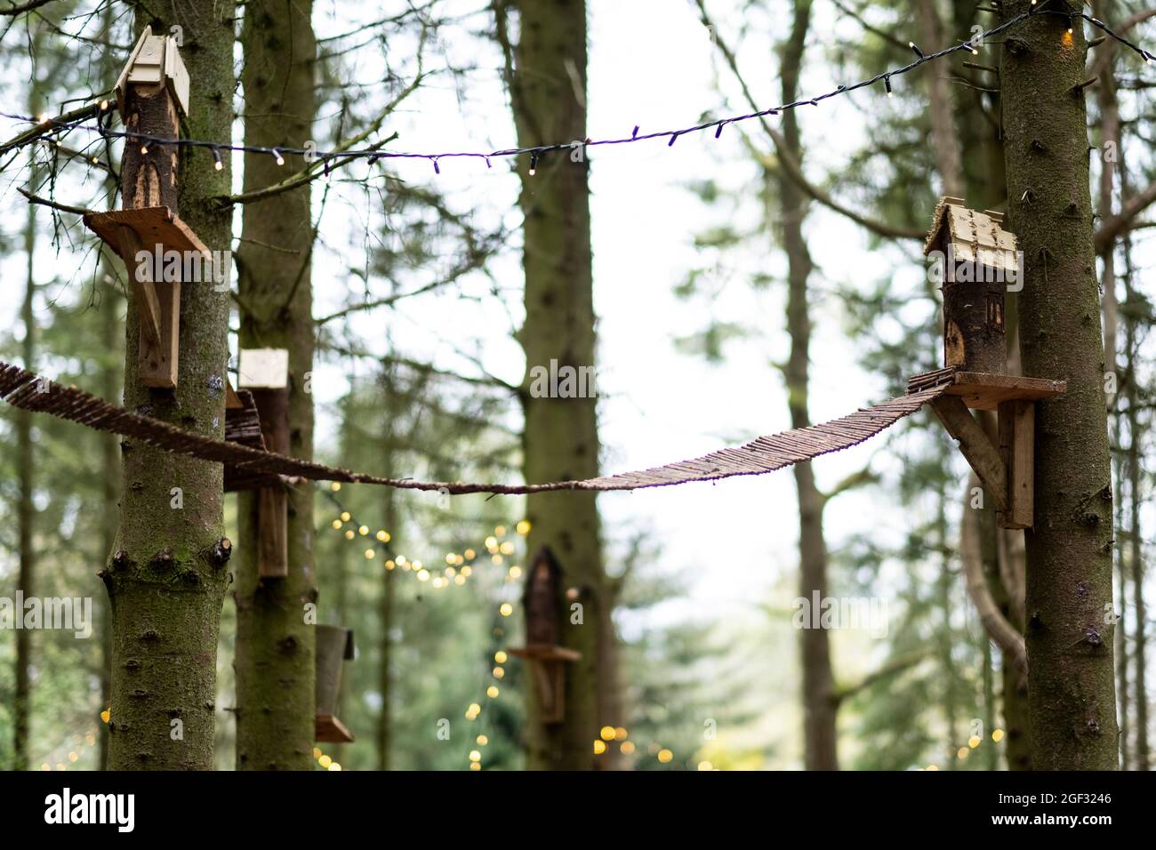 Hölzerne Vogelhäuser und Lichterketten in einem Baum, Dekorationen für eine Waldzeremonie Stockfoto