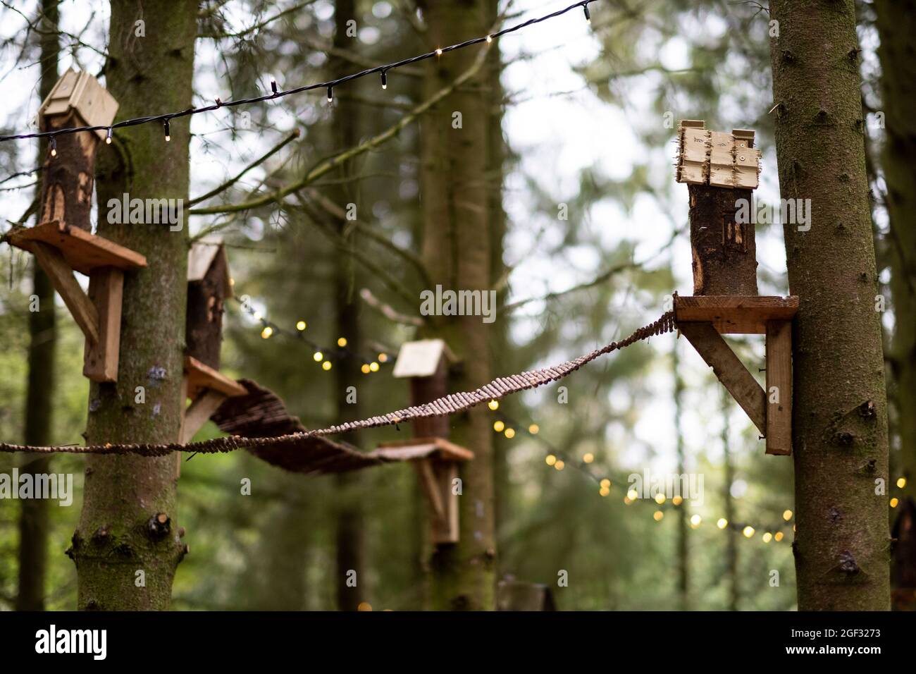 Hölzerne Vogelhäuser und Lichterketten in einem Baum, Dekorationen für eine Waldzeremonie Stockfoto