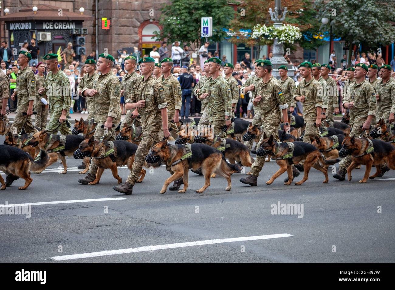 Ukraine, Kiew - 18. August 2021: Schäferhunde am Grenzschutz. Ukrainisches Militär marschieren in der Parade. Armee-Infanterie. Männer auf der Straße Stockfoto