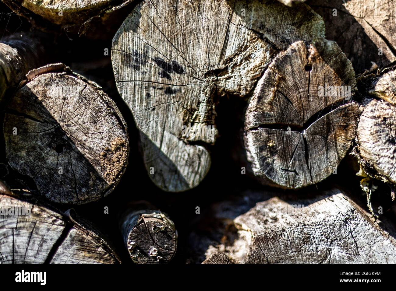 Großes Insektenhotel, das aus verschiedenen Materialien gebaut wurde, um Wirbellosen Lebensraum und Überwinterungsschutz zu bieten. Stockfoto