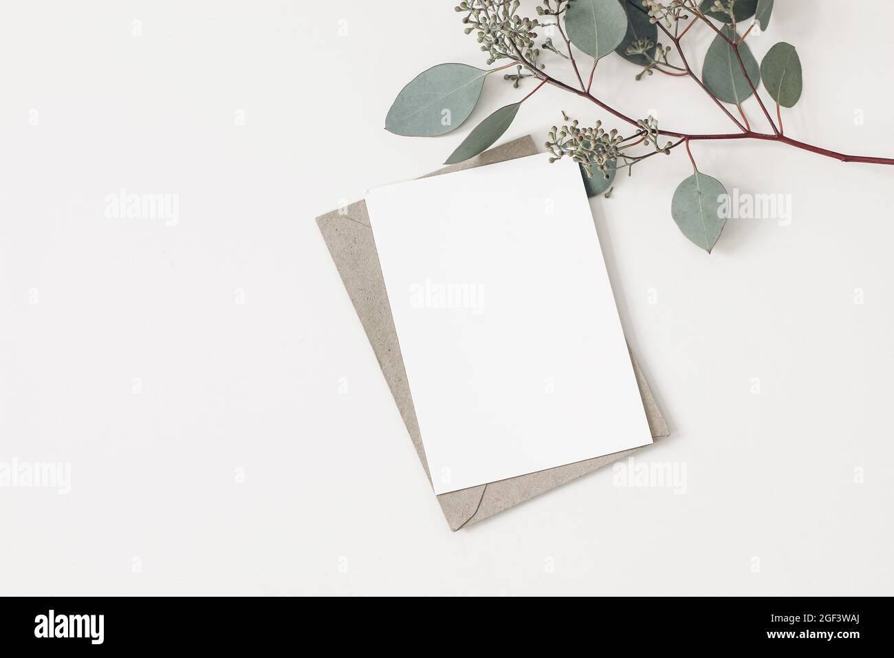 Feminine Hochzeit, Geburtstag Briefpapier Komposition. Leere Grußkarte, Einladungsmockup mit Bastelumschlag. Grüner Eucalyptus popus verzweigt sich Stockfoto