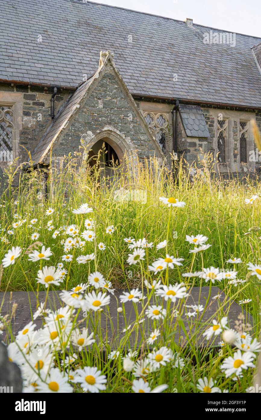Kirchenhof der Dorfkirche Llanystumdwy Gwynedd North Wales. Stockfoto