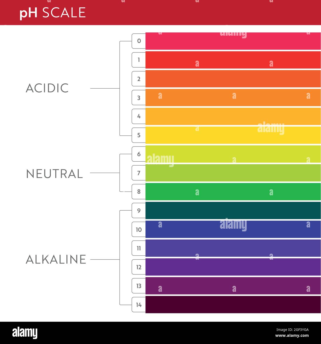 Diagramm der pH-Wert-Skala. Infografik zum Säure-Basen-Gleichgewicht. Bildungsposter Stock Vektor