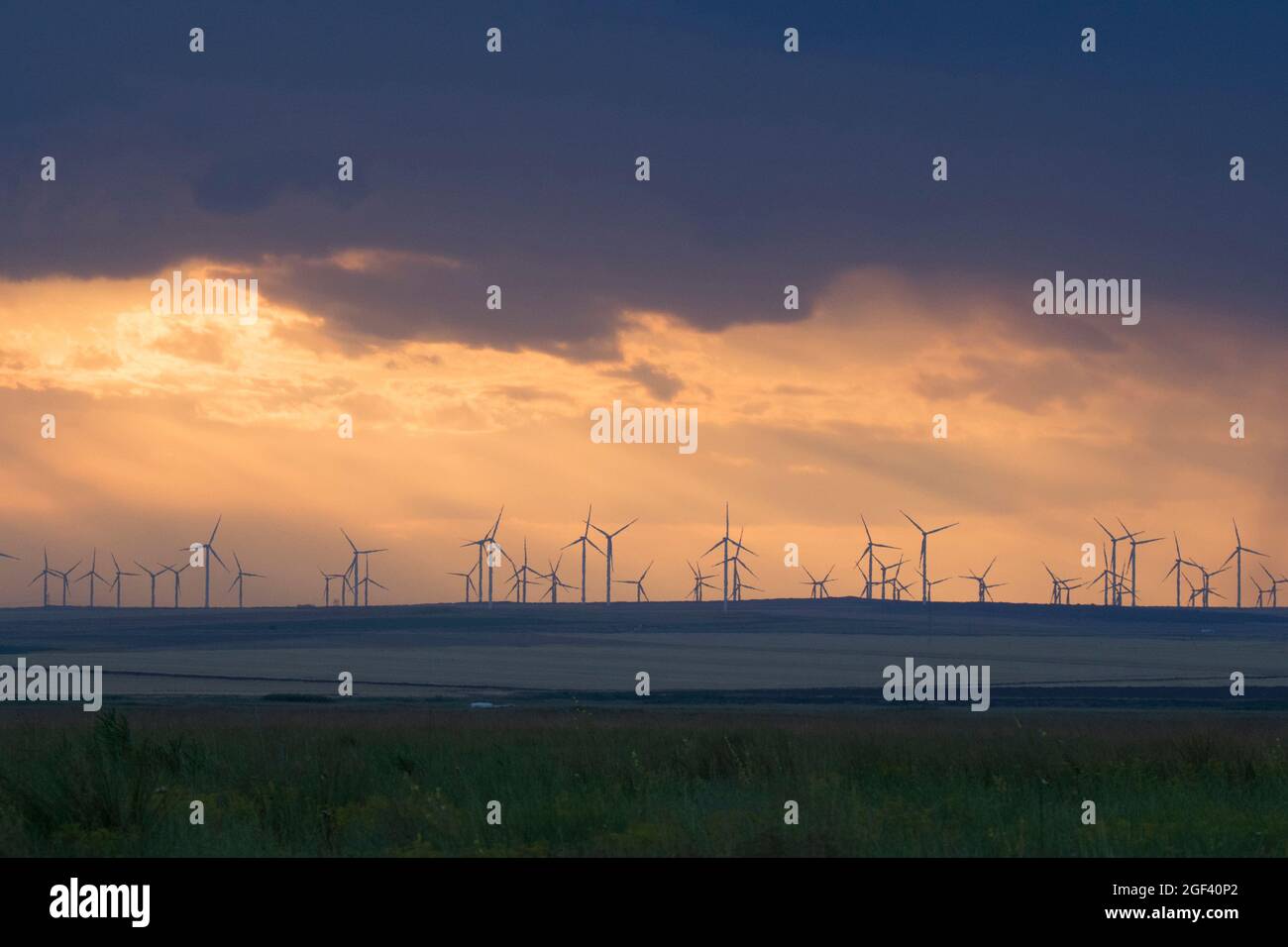 Rumänische Landschaft mit Windpark Stockfoto