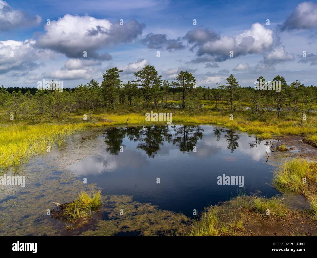 Malerisches Torfmoor und blaue Seenlandschaft unter einem ausdrucksstarken Himmel mit weißen Wolken Stockfoto