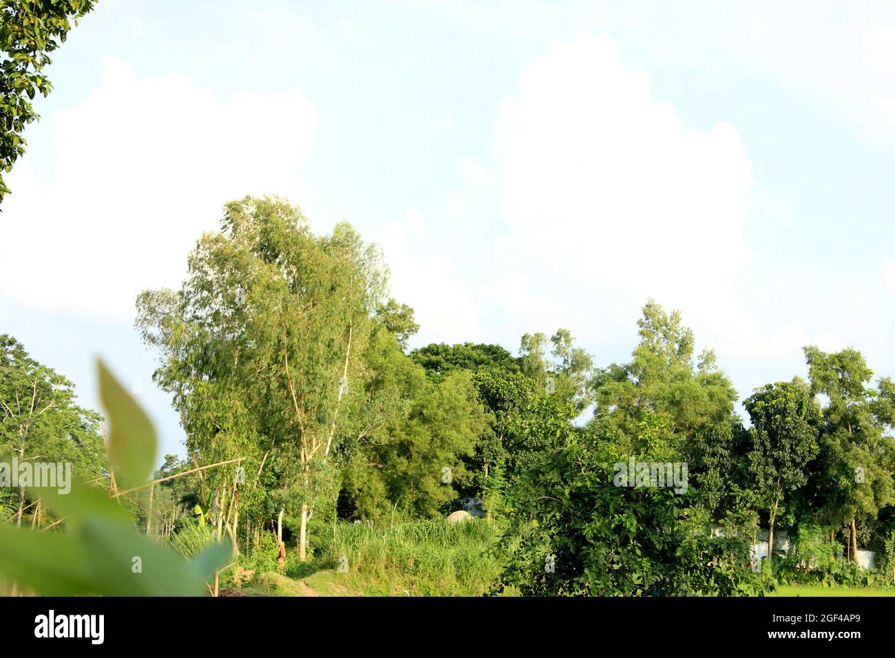 Wie Schön Unsere Welt Stockfoto