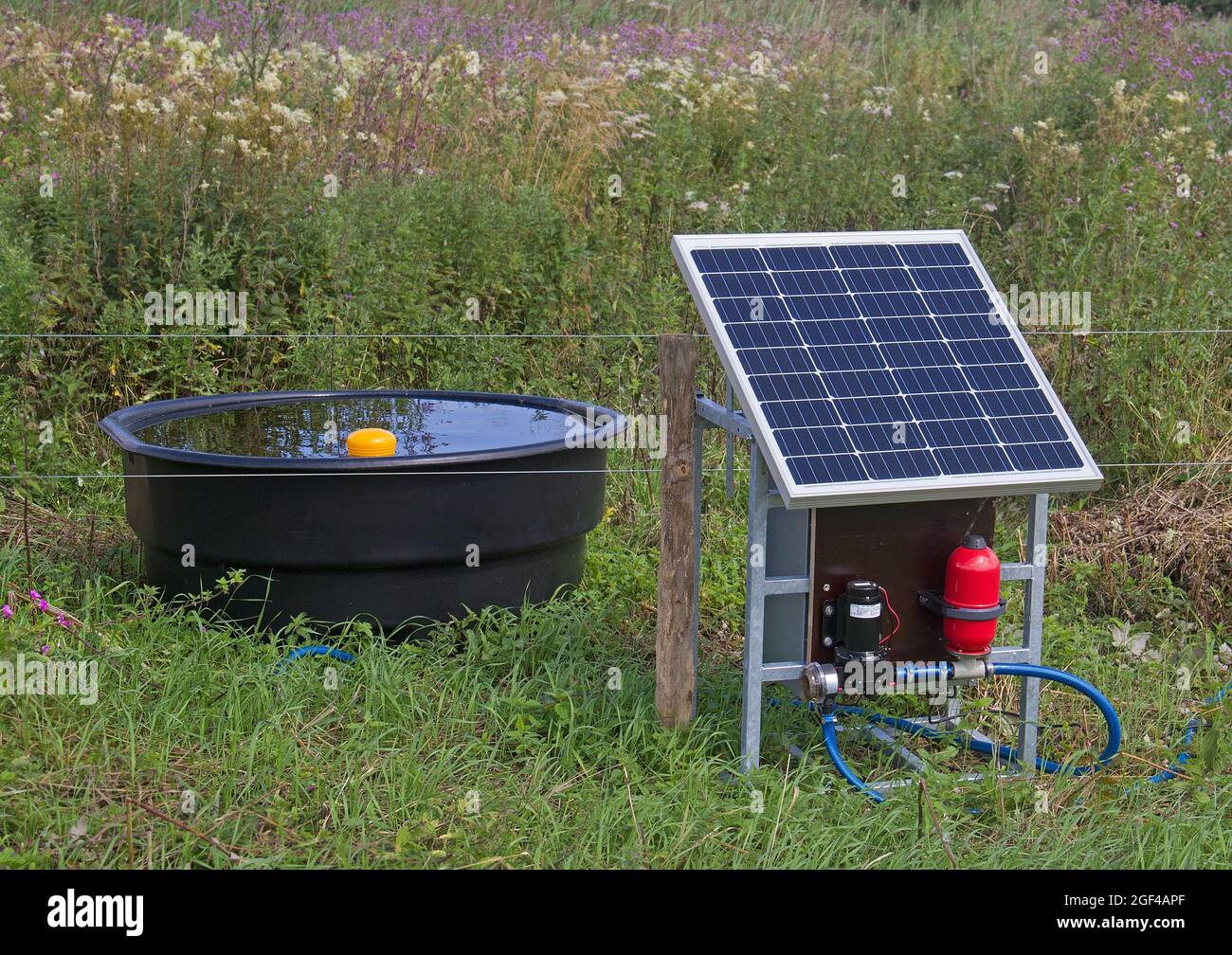 Moderne Landwirtschaft: Solarpanel zur Energieversorgung von Trinkwasser und elektrischem Zaun für Rinder Stockfoto