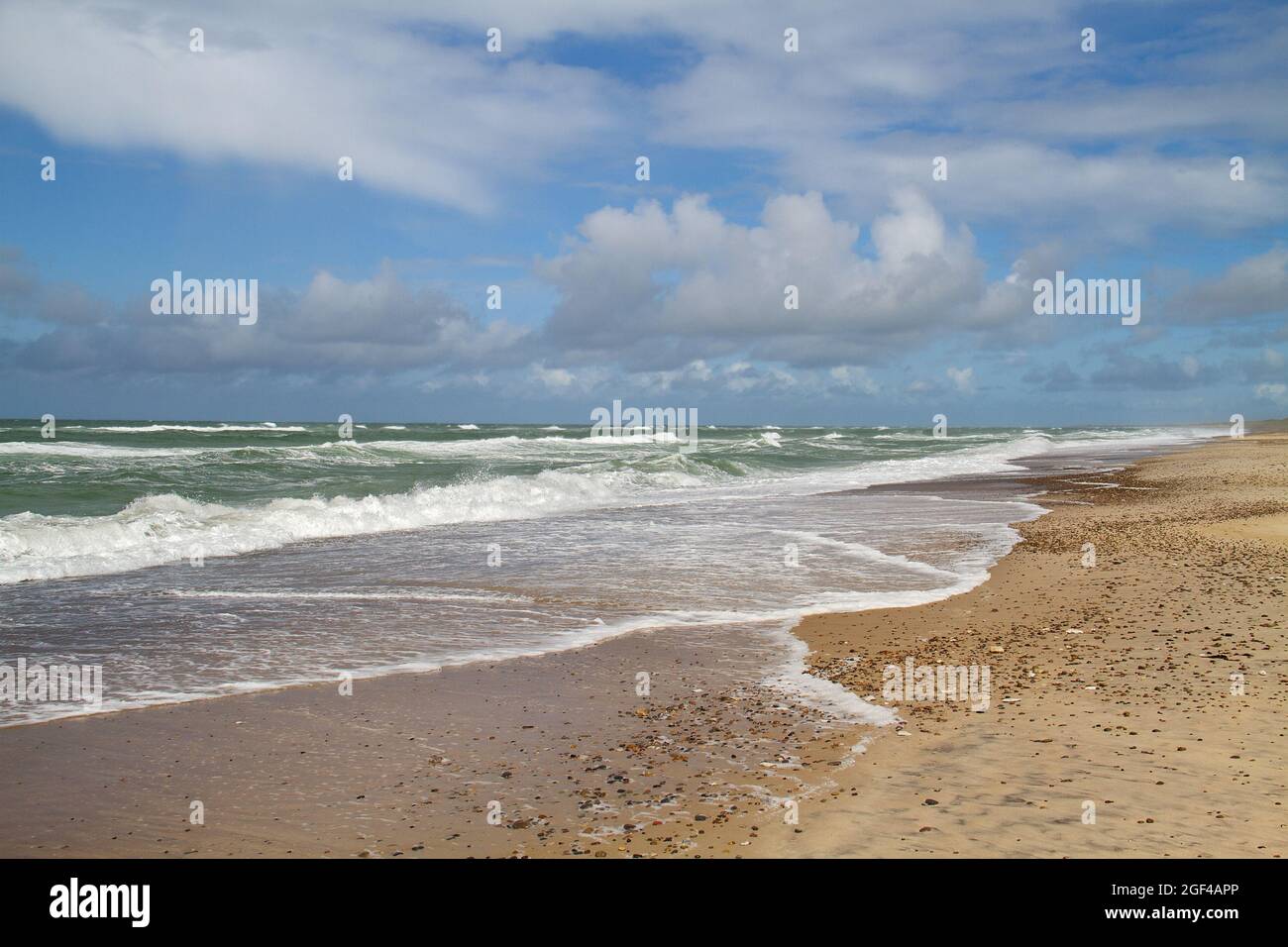 Schöne Küste im Norden von Jütland, Dänemark, Sandstrand mit Kieselsteinen Stockfoto