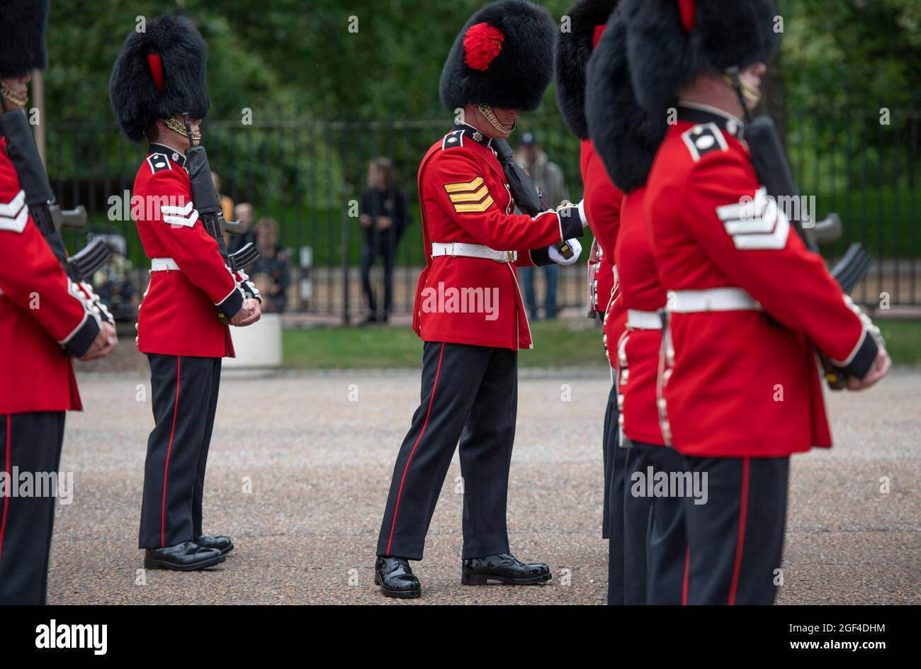 London, Großbritannien. 23. August 2021. Vorbereitungen in den Wellington Barracks für die feierliche Wachablösung mit Musik im Buckingham Palace nach der längsten Pause seit dem 2. Weltkrieg aufgrund der Einschränkungen des Coronavirus im März 2020. Die 3 Kompanie des 1. Bataillons Coldstream Guards wird inspiziert, bevor sie diese erste volle zeremonielle Aufgabe in Begleitung der Band der Coldstream Guards übernimmt. Kredit: Malcolm Park/Alamy Stockfoto