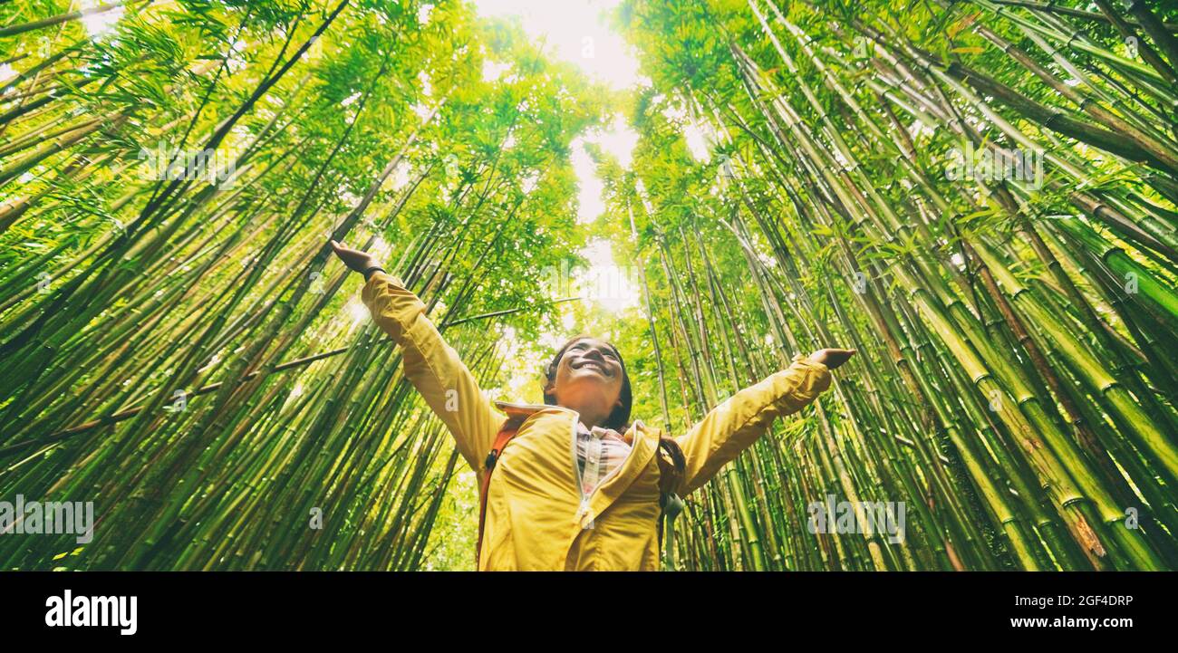 Nachhaltiger umweltfreundlicher Reise-Wanderer, der in einem natürlichen Bambuswald spazierengeht, glücklich mit den Armen in der Luft und genießt eine gesunde und erneuerbare Umwelt Stockfoto