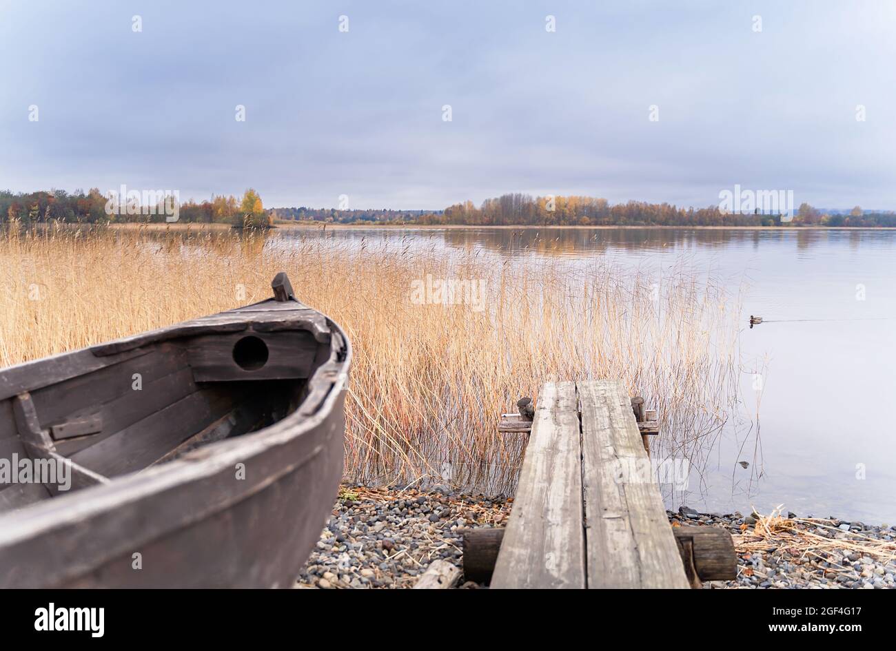 Altes Holzboot am Ufer des schönen nebligen Sees und herbstliche Waldlandschaft. Herbstwald und See Hintergrund. Tolles Design für jeden Zweck. Stockfoto