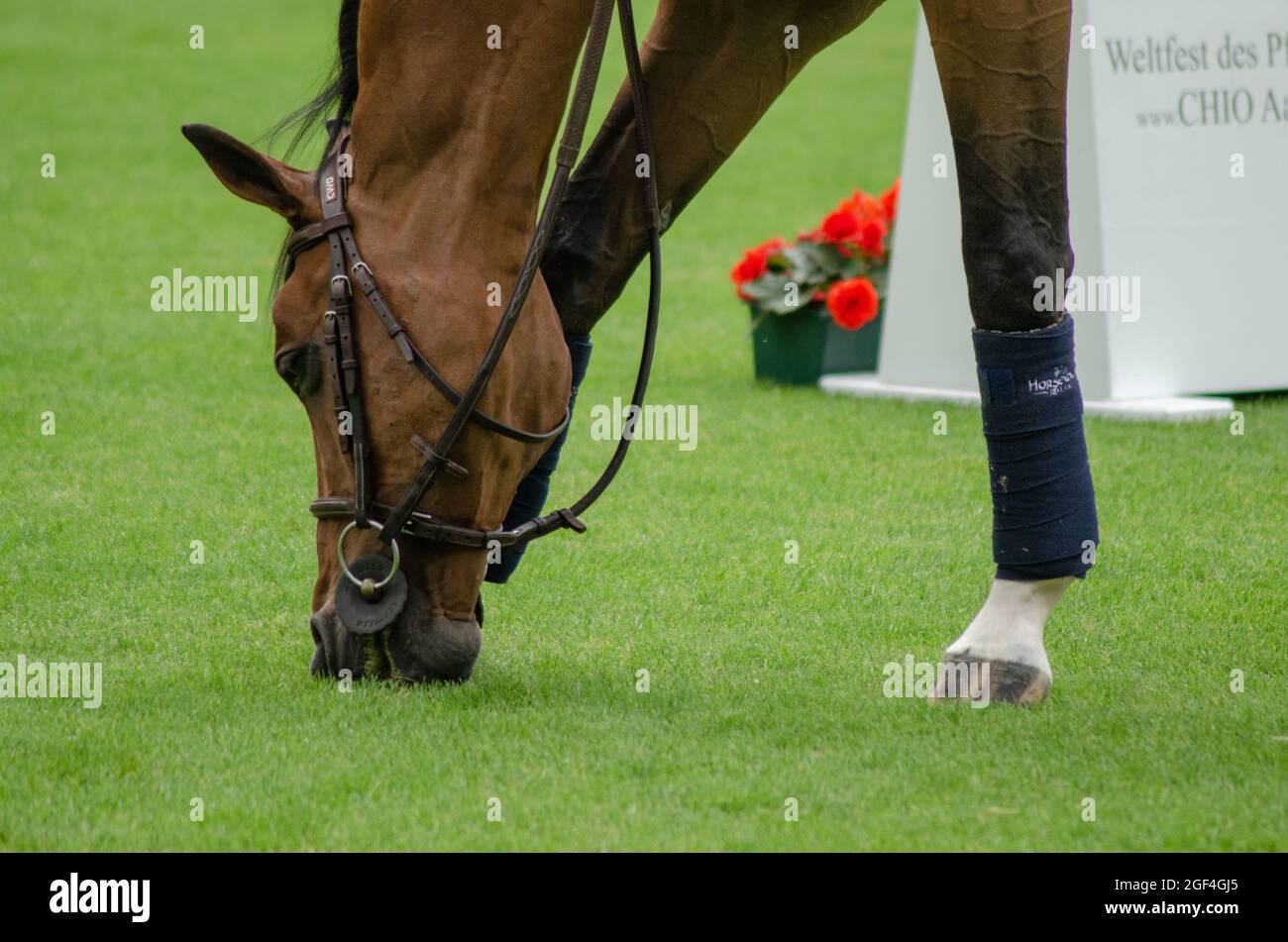 Aachen-CHIO Stockfoto