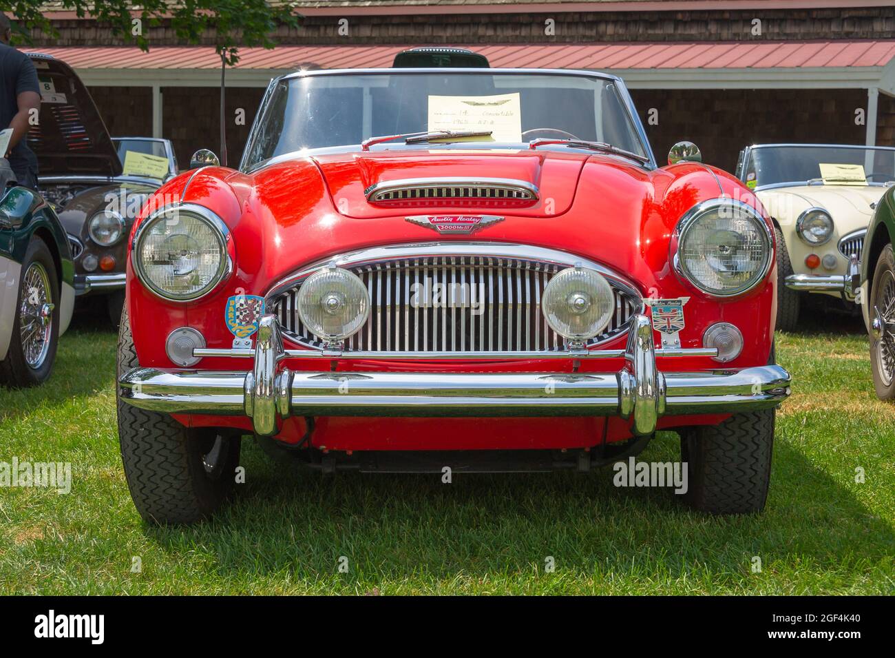 Mystic, CT USA / 23. Juli 2011: Classic Red 1965 Austin Healey 3000 Mk III Sportwagen auf der British Car Show im Sommer in Neuengland zu sehen. Stockfoto