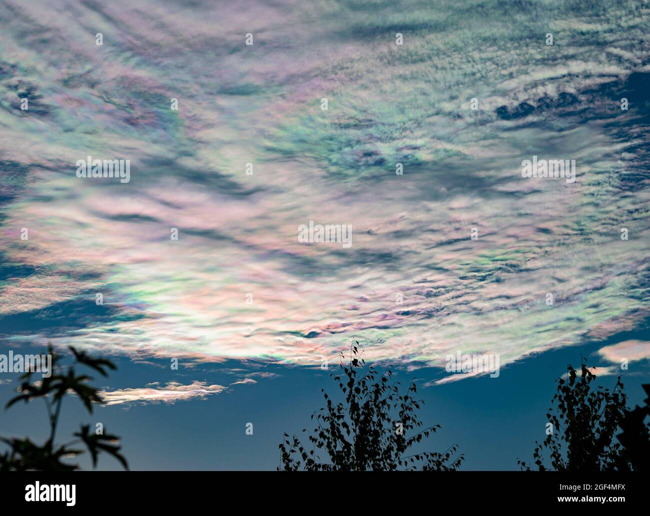 Schillernde Wolken: Wunderschöne Pastell- oder Ölfarben in den Wolken, verursacht durch die Streuung des Sonnenlichts. Stockfoto