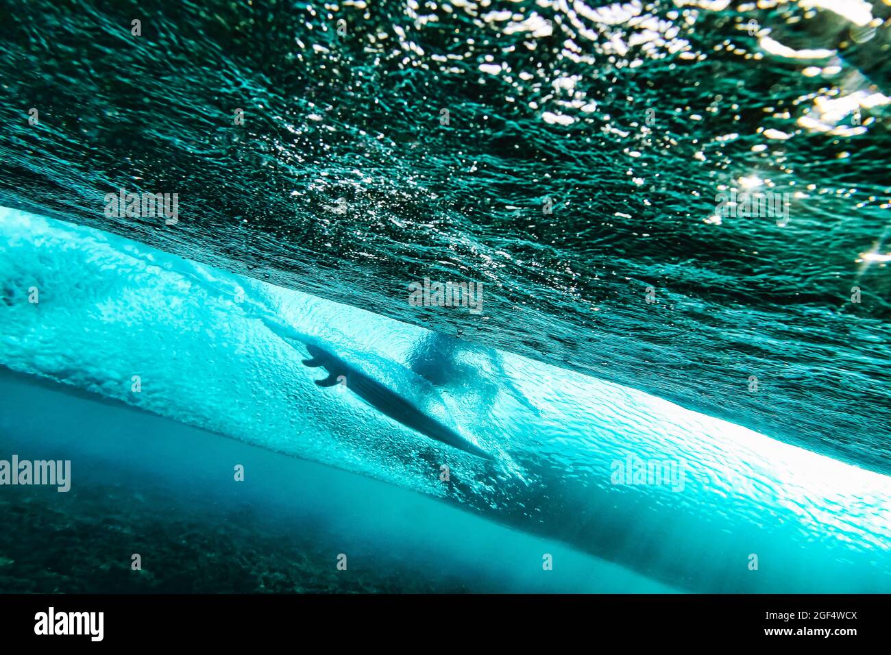 Unterwasseransicht eines jungen Mannes, der im türkisfarbenen Wasser des Süd-Male-Atolls surft Stockfoto