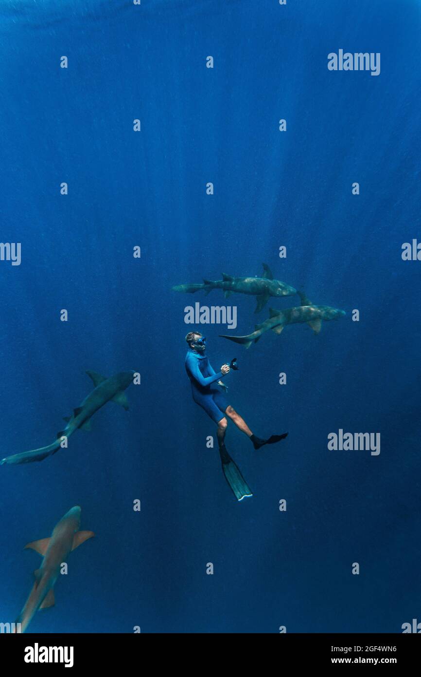 Junger Mann im Nassanzug, der unter Wasser von Ammenhaien schnorchelt Stockfoto