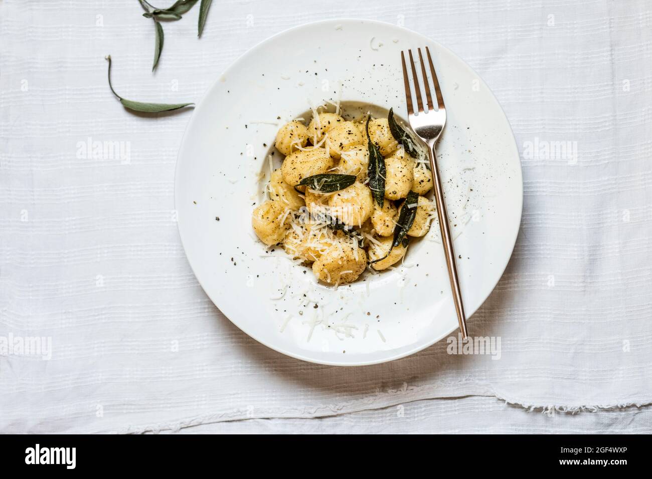 Teller mit verzehrfertigen italienischen Gnocchi-Knödeln mit geriebenem Parmesan-Käse Stockfoto