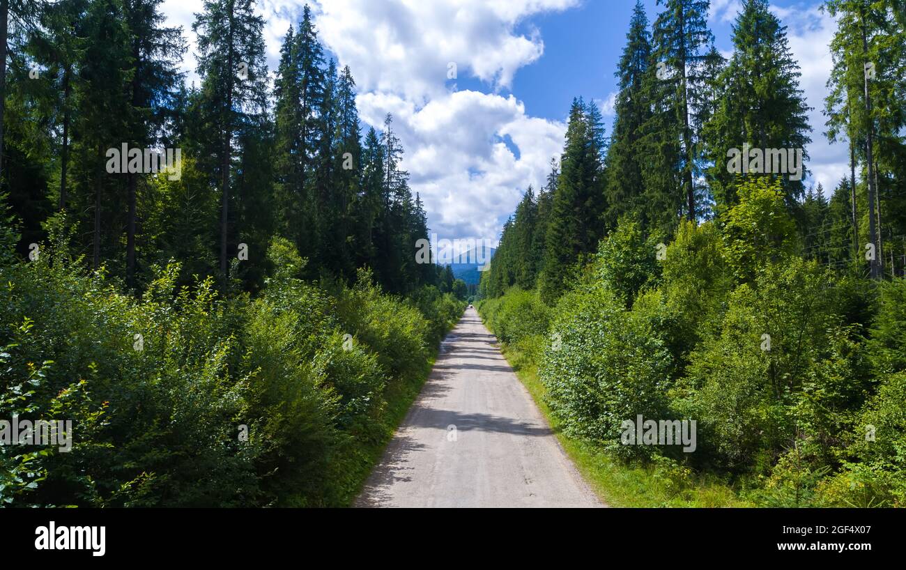 Der Berg Hoverla von der Straße. Karpaten in der Ukraine Luftaufnahme Stockfoto