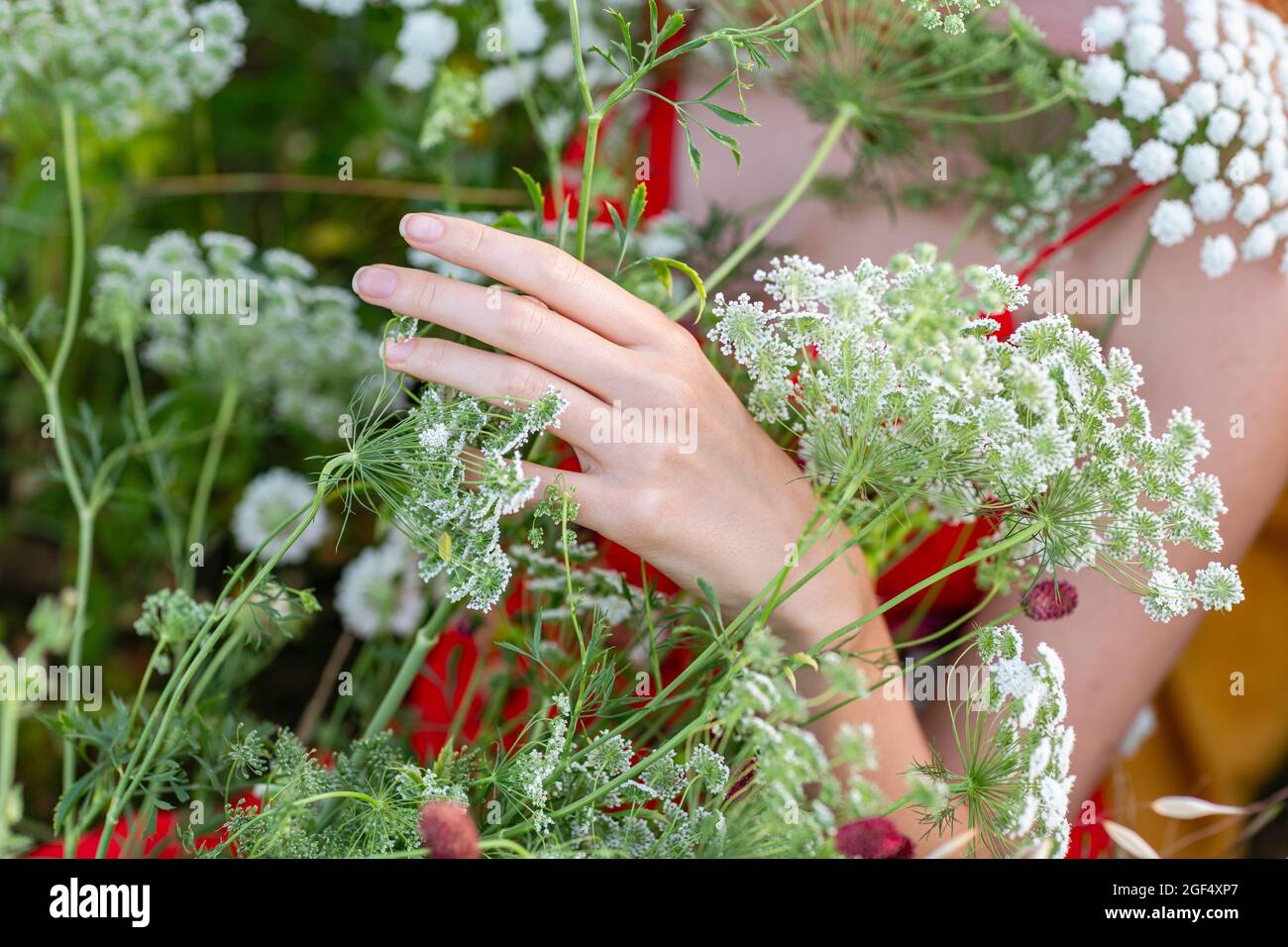 Junge Frau mit Wildblumen Stockfoto