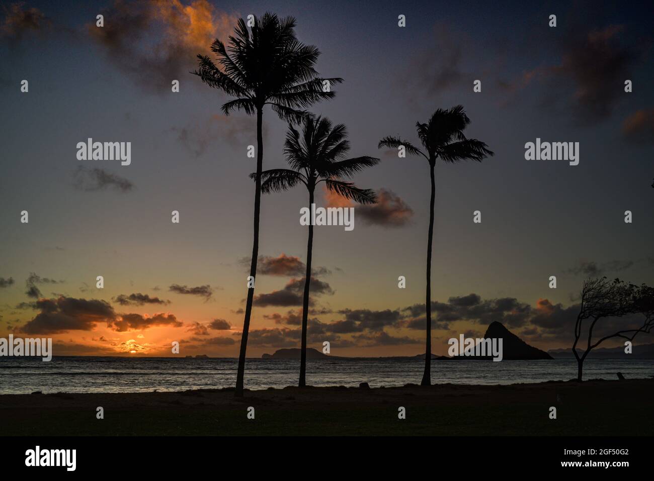 Spektakulärer Sonnenaufgang in der Nähe von Kualoa Ranch, Kualoa Regional Park mit silhouettierten Palmen und Mokoli'i Island (früher bekannt als der veraltete Begriff „Chinaman's hat“), Oahu, Hawaii, USA Stockfoto
