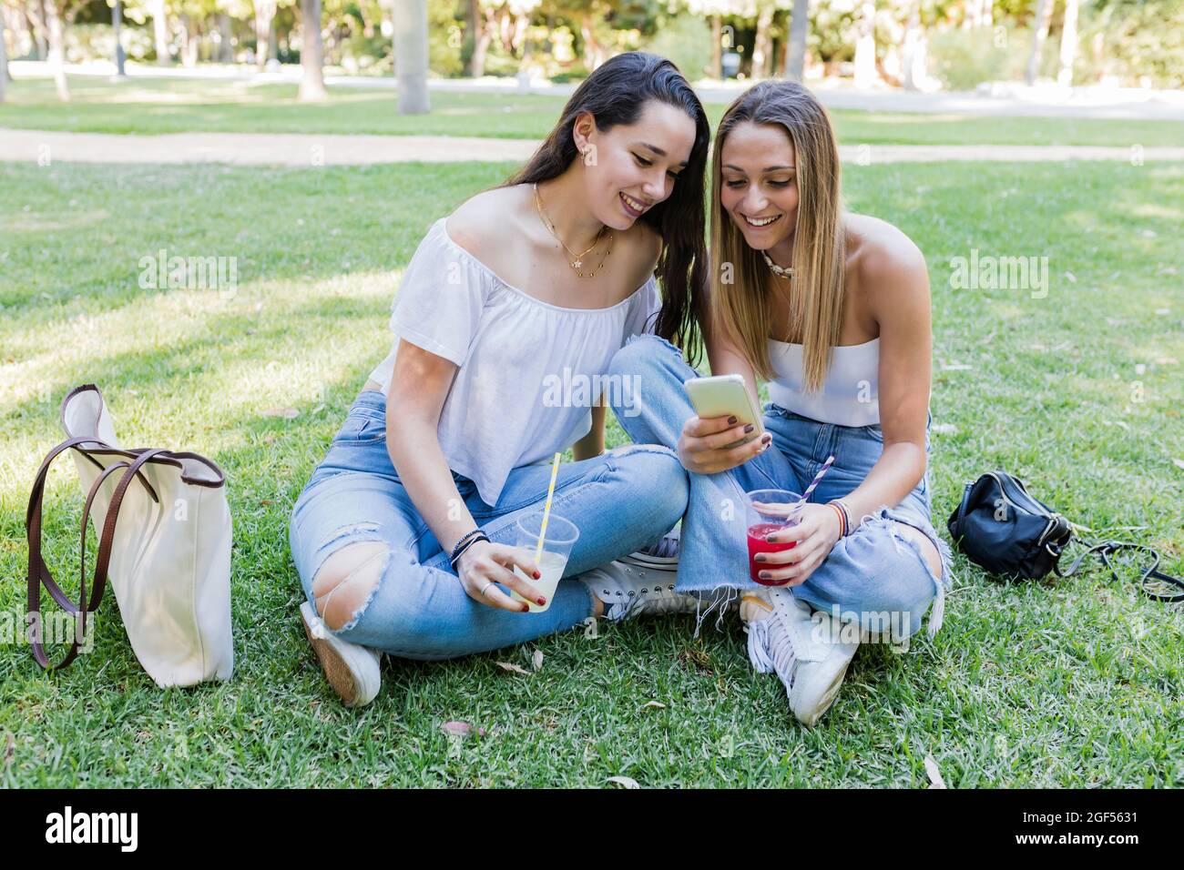Weibliche Freunde halten Getränke, während sie im öffentlichen Park ein Smartphone teilen Stockfoto