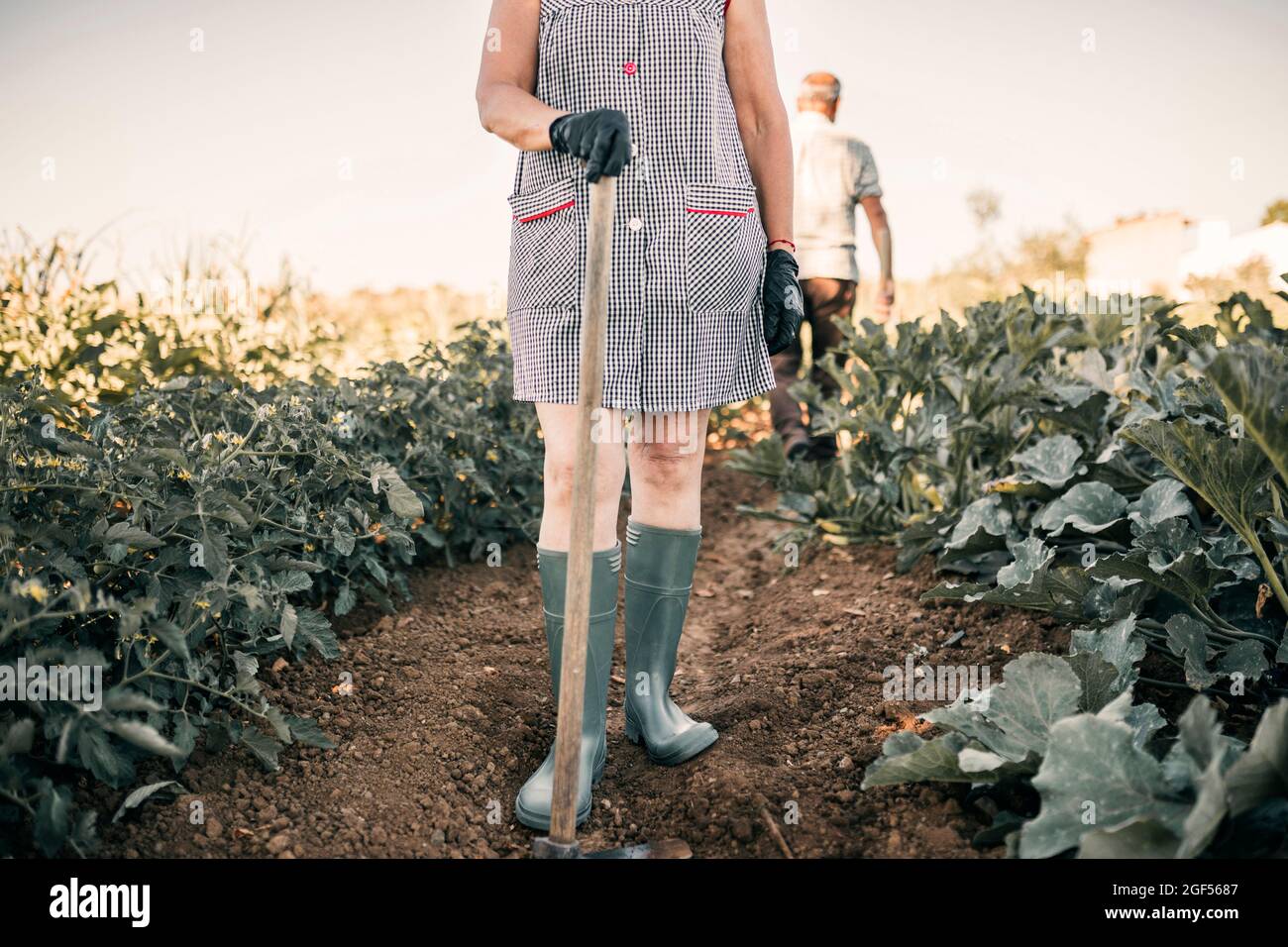 Landwirtschaftliche Arbeiterin hält Schaufel, während sie auf der Gemüsefarm steht Stockfoto