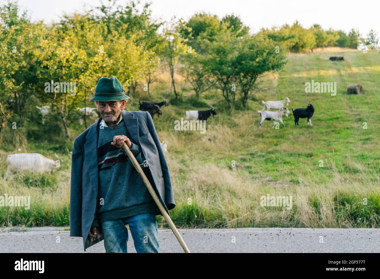 Älterer männlicher Hirte mit Hut und Blazer, der Stock hält Stockfoto