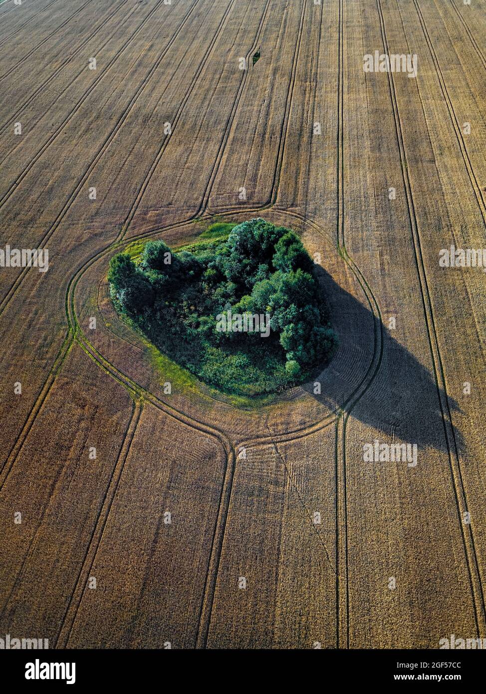 Luftaufnahme eines kleinen Fleckens von Grün links auf riesigen ländlichen Feld Stockfoto
