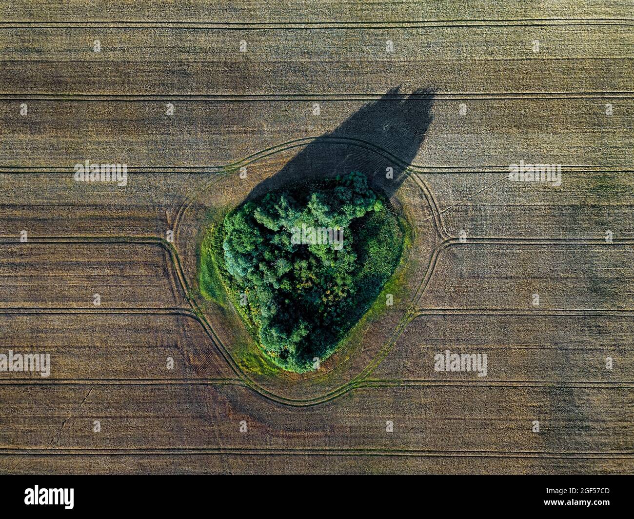 Luftaufnahme eines kleinen Fleckens von Grün links auf riesigen ländlichen Feld Stockfoto